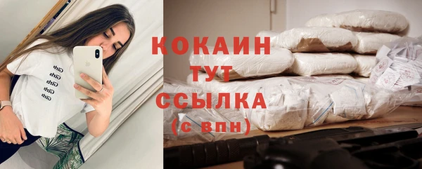 прущие грибы Гусиноозёрск
