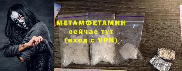 прущие грибы Гусиноозёрск