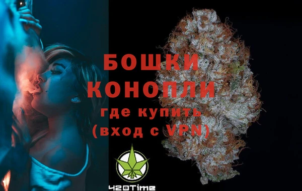 мдпв Горно-Алтайск