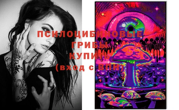 прущие грибы Гусиноозёрск