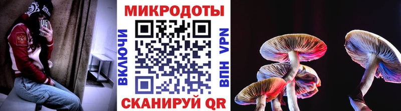 Купить где  Карабаново  Галлюциногенные грибы мицелий 